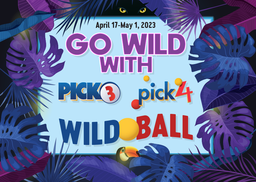 Go Wild With Wild Ball