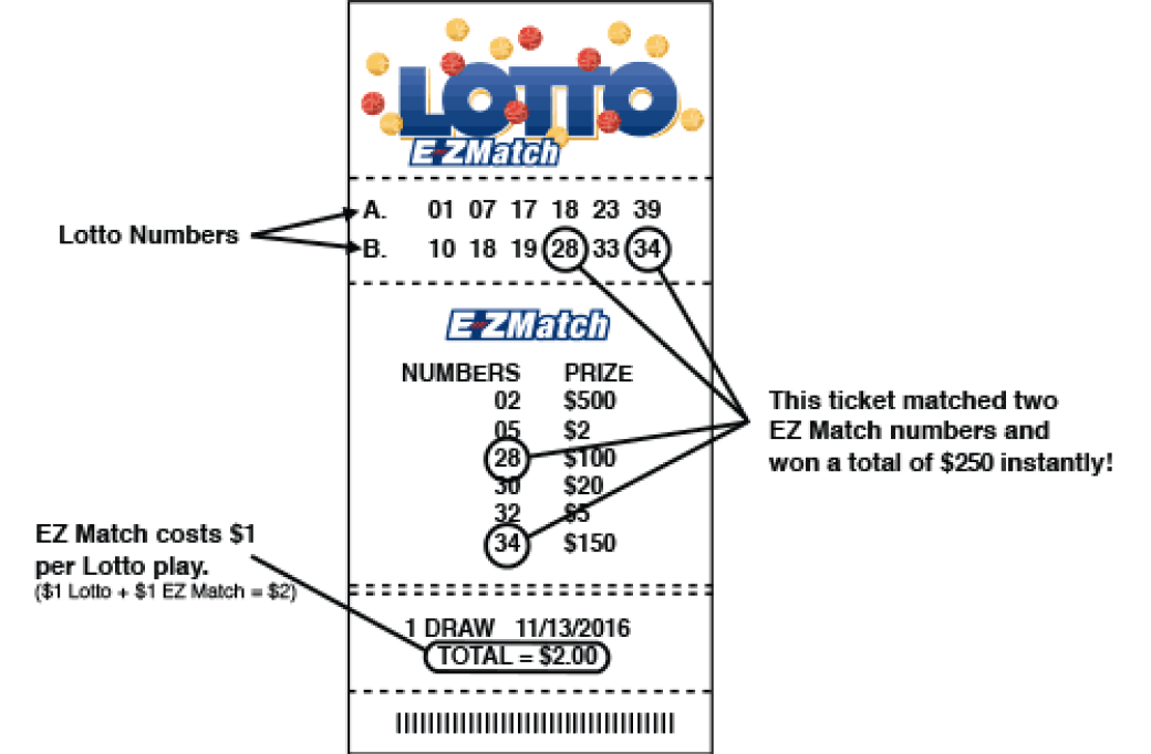 Lotto Molottery