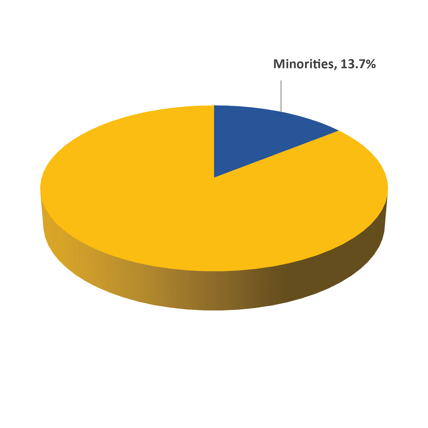 Minority Employees Chart