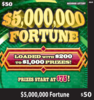 $5,000,000 Fortune